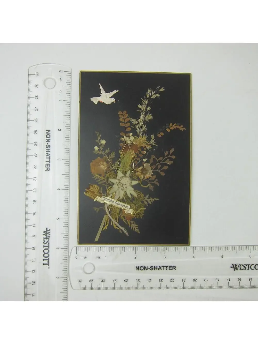 Victorian Greeting Card Pressed Flowers White Dove Bird Congrats German Antique